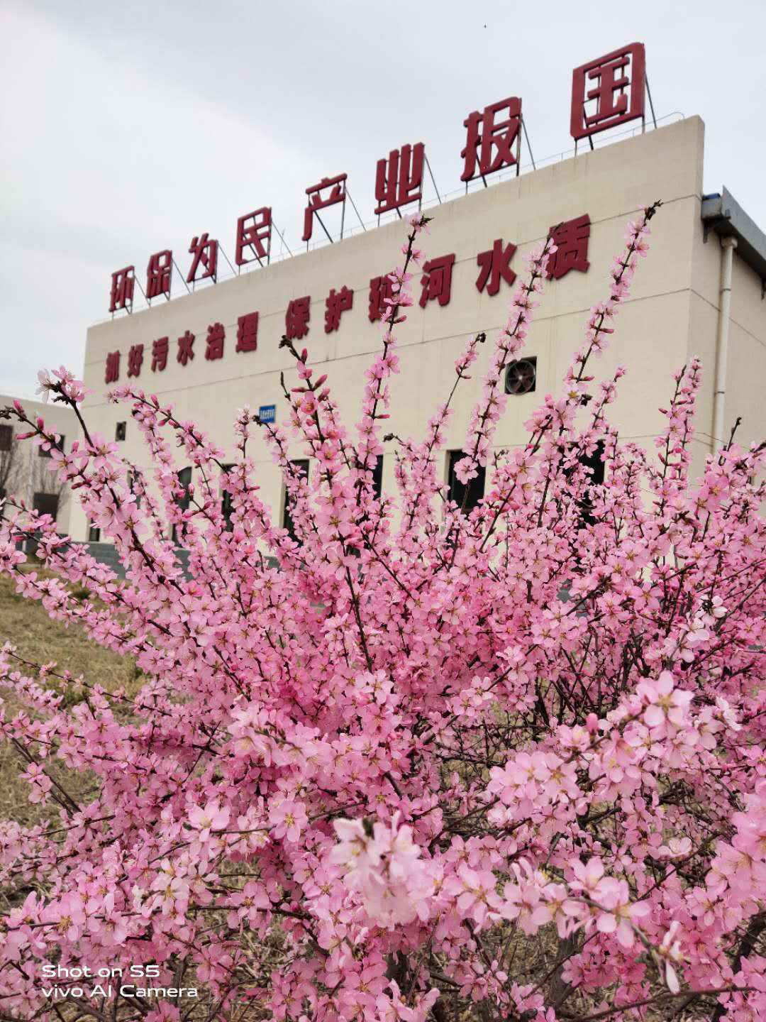 upay钱包 -轻松支付,放心选择