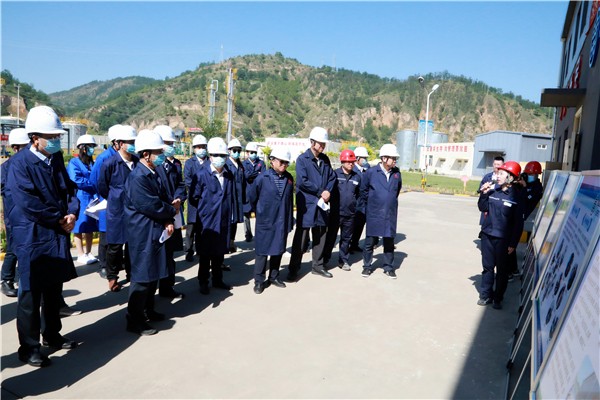 upay钱包集团复工复产促增添项目观摩聚会与会职员走进环保保隆生态三秦在延在铜项目