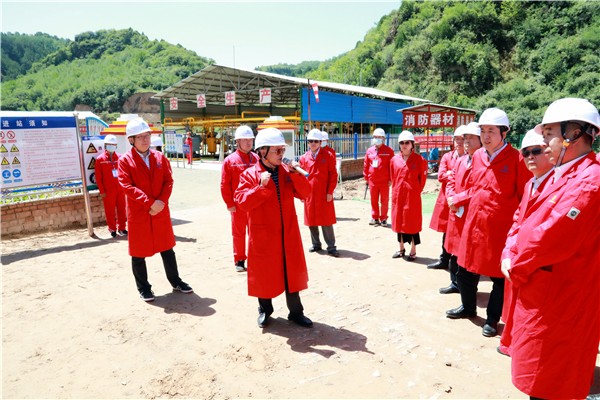 upay钱包集团复工复产促增添项目观摩聚会与会职员走进环保保隆生态三秦在延在铜项目