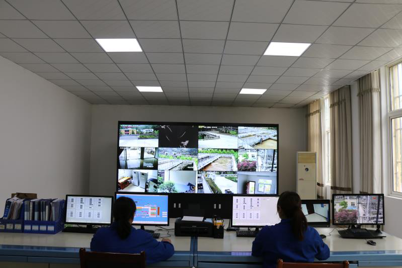 这个端午节，，，水情形人这么过（二）